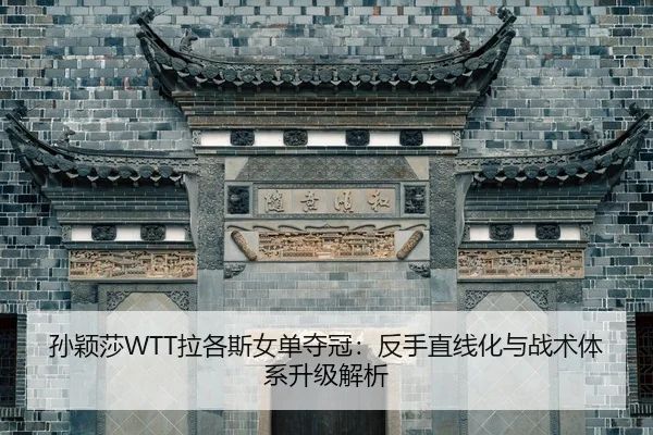 sun-ying-sha-la-ge-si-nv-dan-duo-guan-fan-shou-zhi-xian-hua-yu-zhan-shu-ti-xi-sheng-ji-jie-xi-2-314.jpg